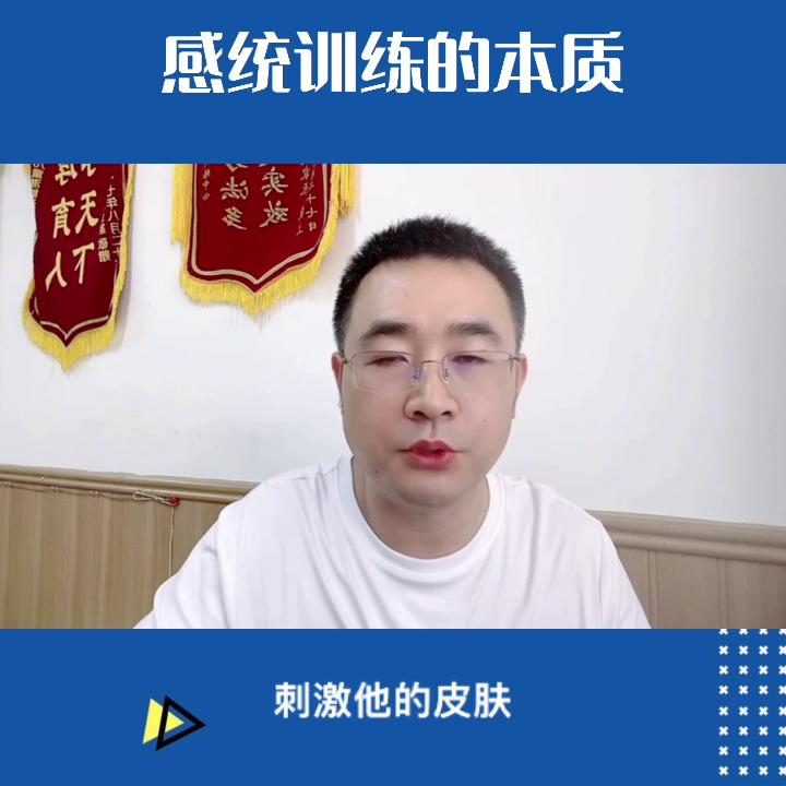 感统训练语言发育迟缓的孩子,语言迟缓为什么要感统训练