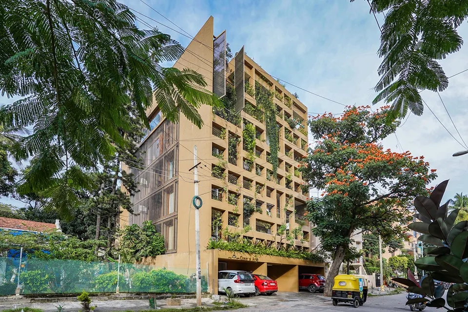 印度女生来中国旅游羡慕中国女生,印度女留学生介绍在中国生活