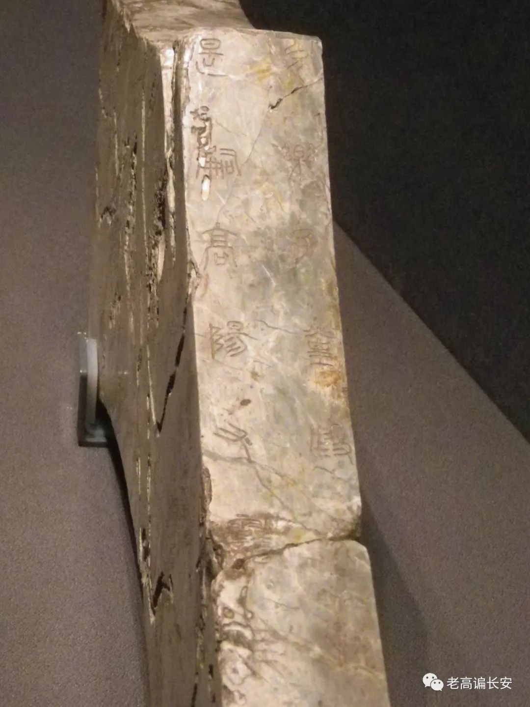 假期参观陕西考古博物馆,陕西考古博物馆开馆直播