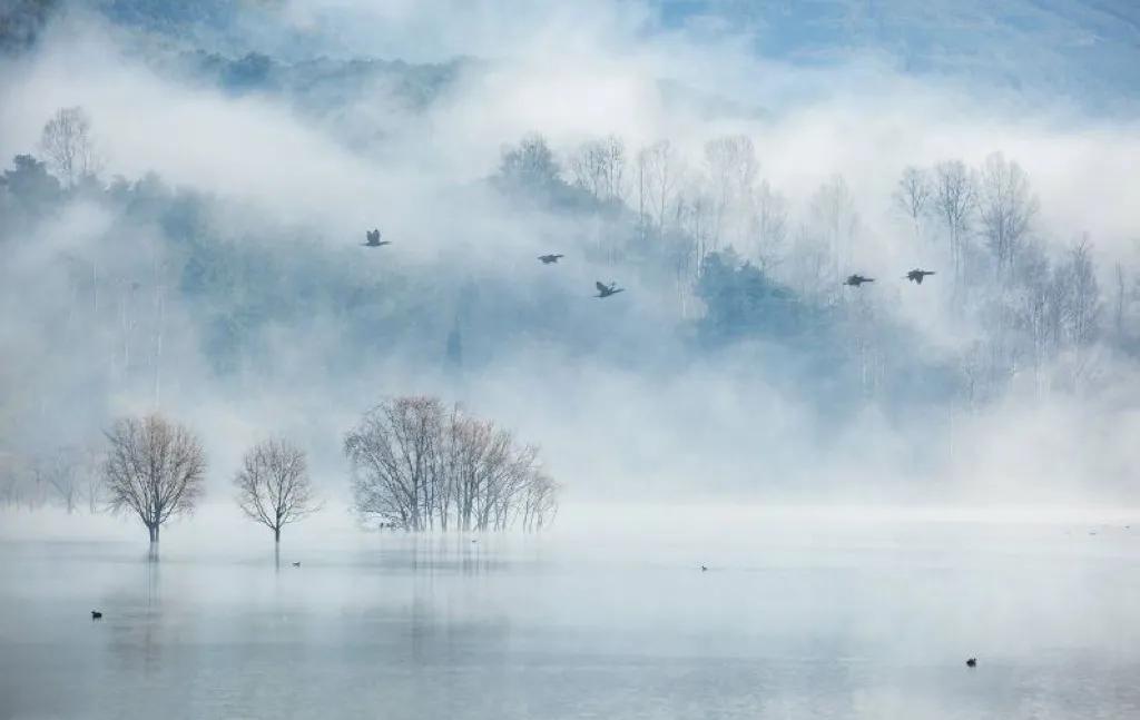 杜甫最有名的十首诗句带图,杜甫最经典的七律诗30首