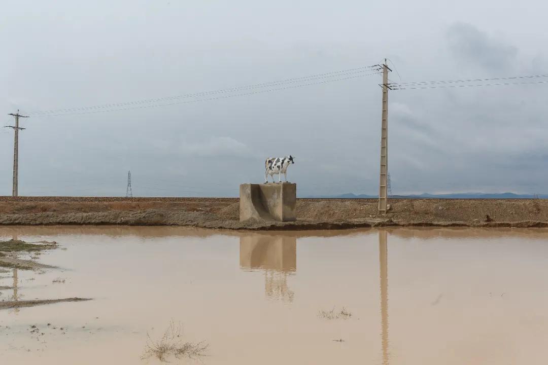 40张国际摄影奖顶尖作品震撼人心,世界摄影获奖人物震撼图