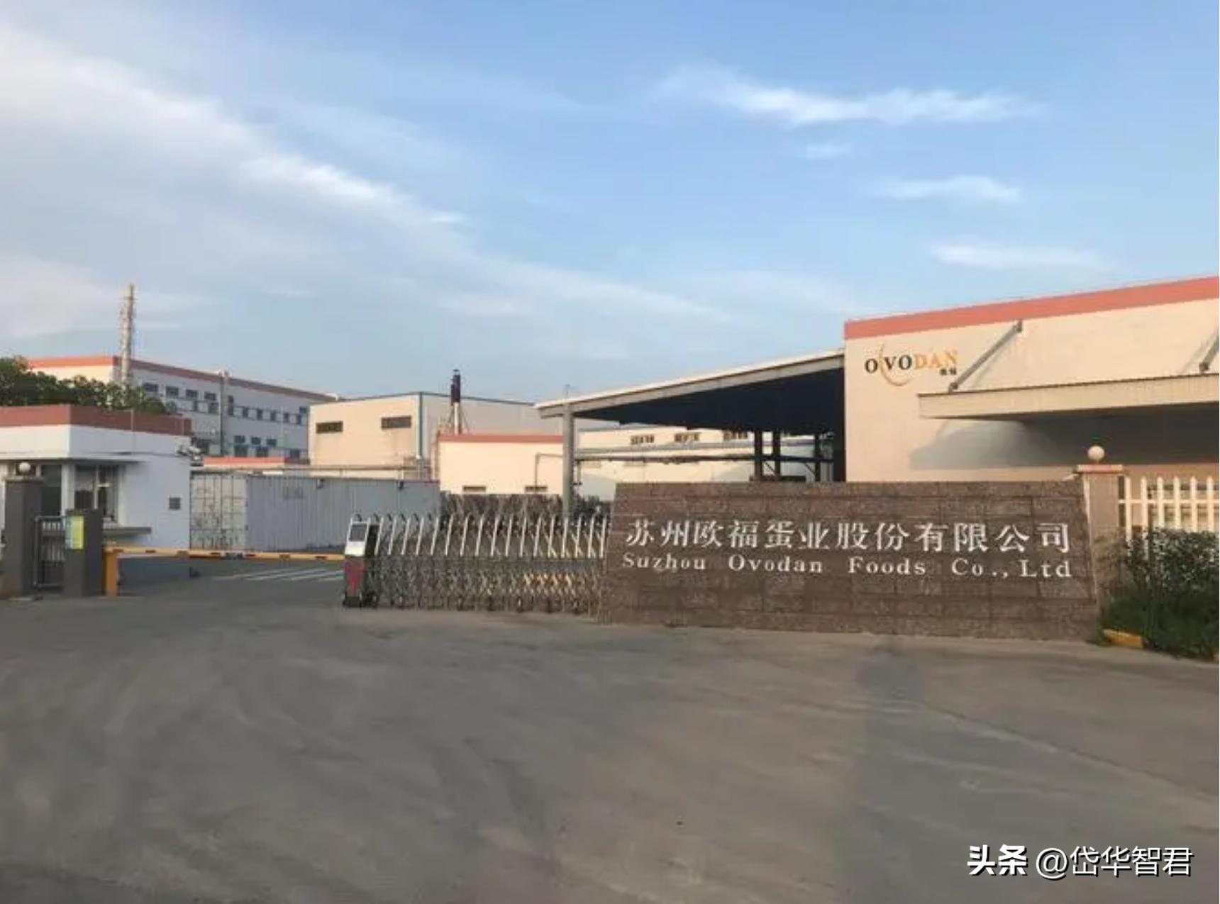 欧福蛋业直播,欧福蛋业行情