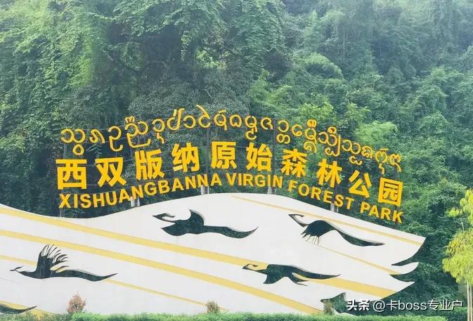 云南西双版纳旅游景点图片大全,西双版纳旅游攻略必去景点地图