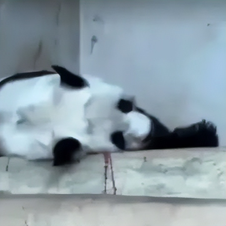 失去中国游客的泰国旅游业现状,泰国旅游现状机场空无一人