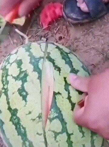 送命题女生回答问题,女朋友难产送命题