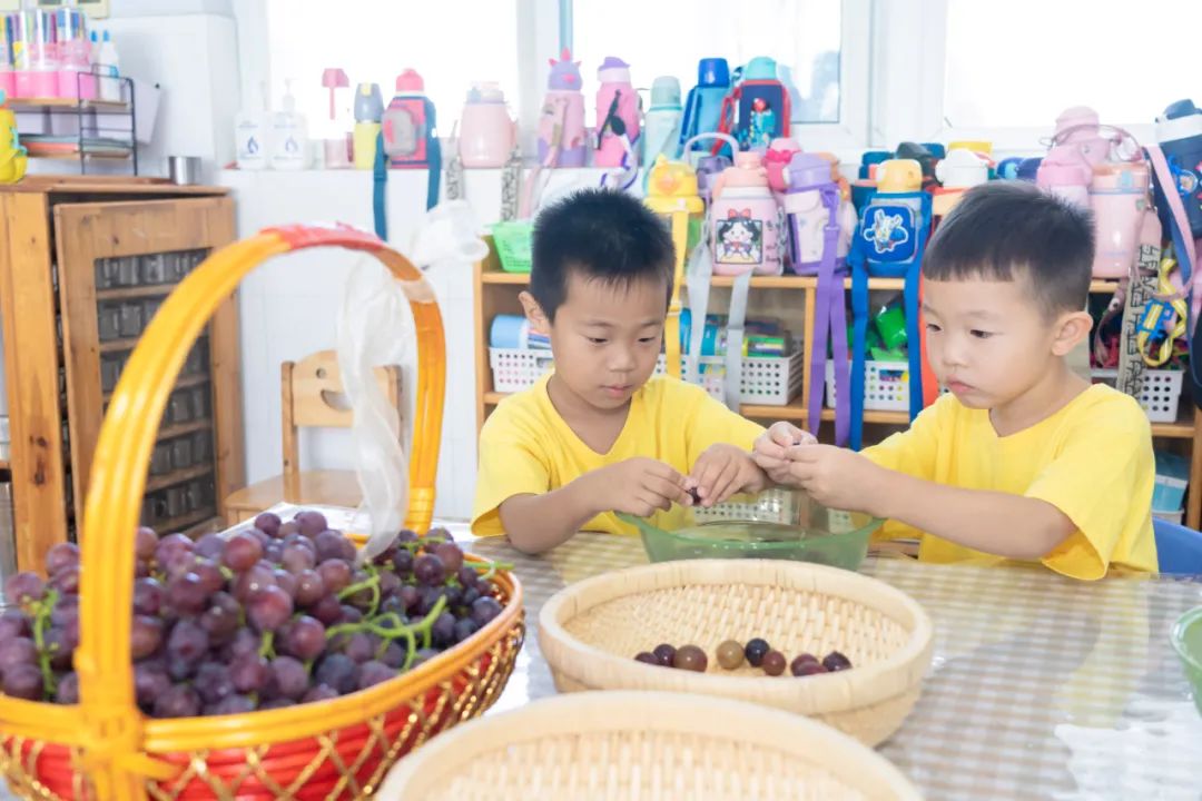 秋光如岁邂逅一场欢喜——临猗县直一园开学季