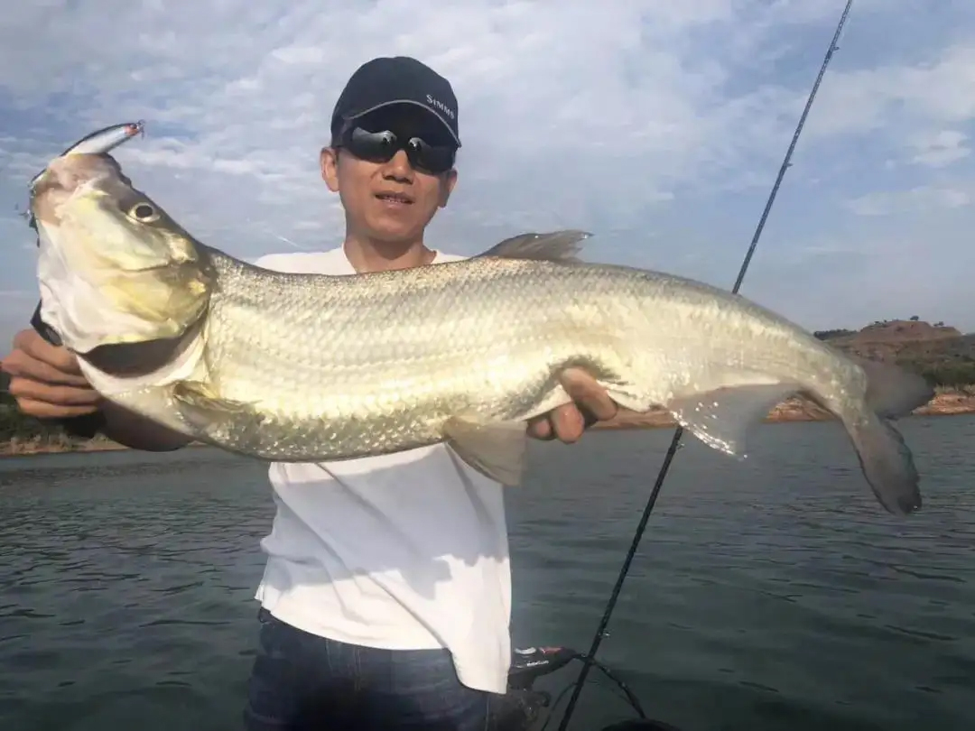 少年不知路亚好，错把手竿当做宝，路亚人到底有多难？