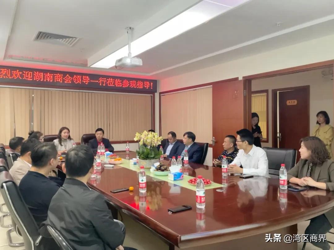 东莞市湖南商会会员走访,东莞湖南商会座谈会
