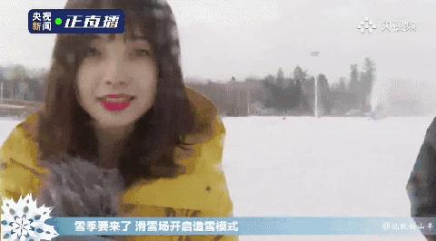 王冰冰被抓,王冰冰为什么没来采访丁真