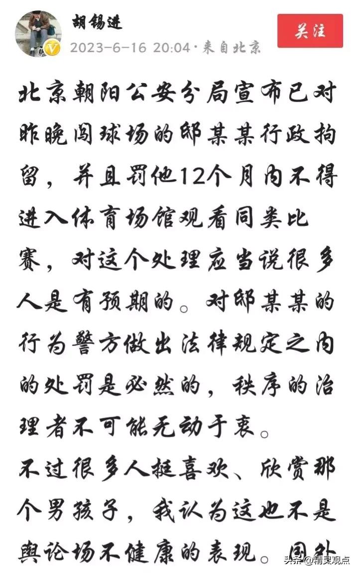 球迷冲入球场拥抱梅西被行拘点评,冲进球场拥抱梅西的道歉视频