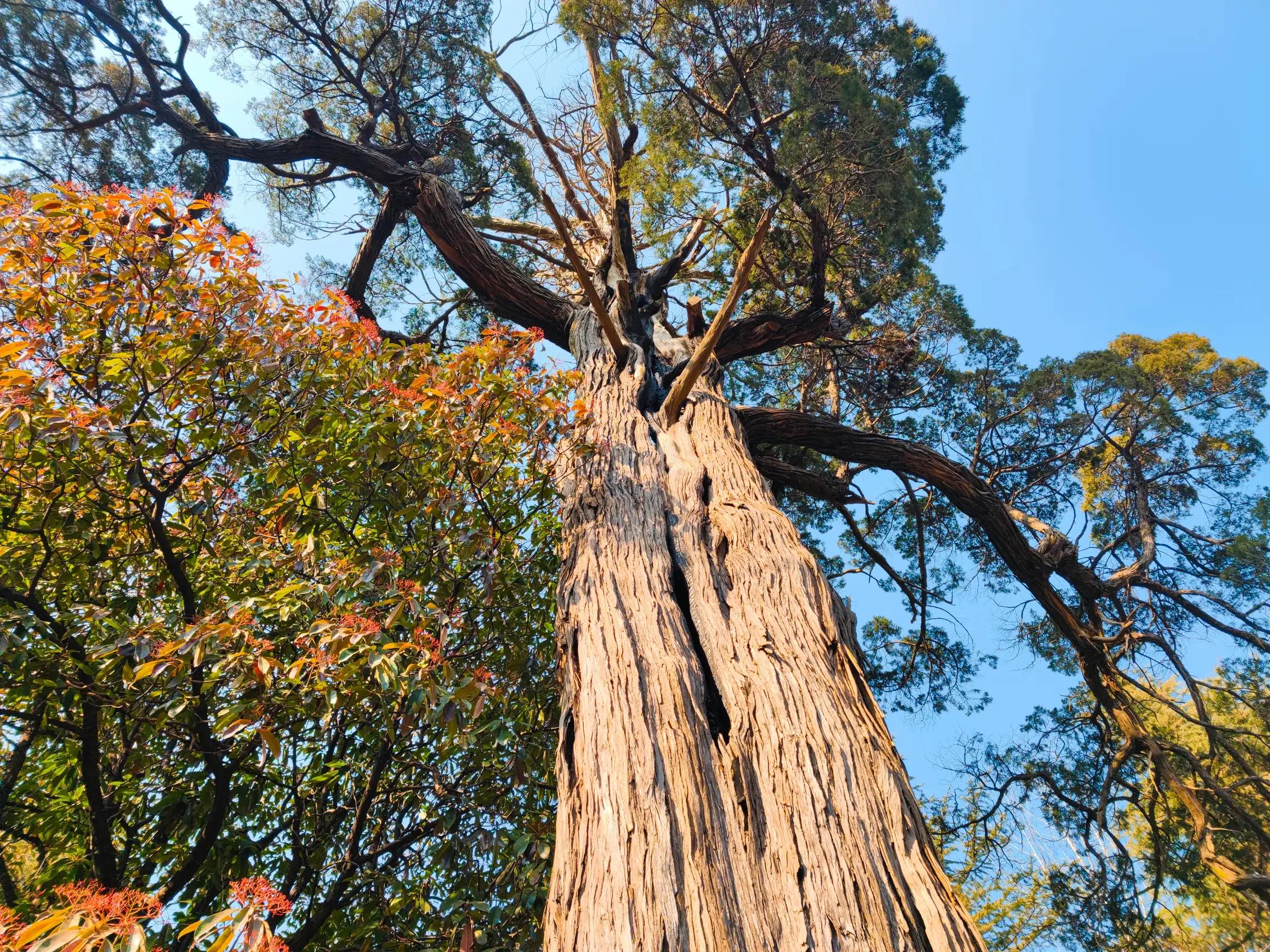 现代迎新春的诗词,迎新春的诗词大全100首
