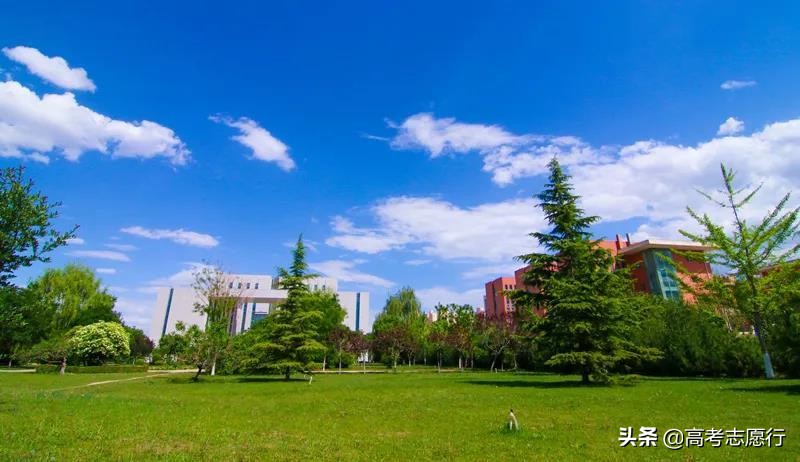 学焊接加工专业前景如何,学焊接用上大专吗