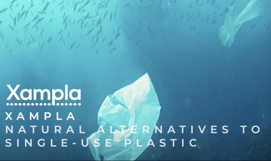 世界食品品质大奖名单,解析2019世界食品创新奖入围产品