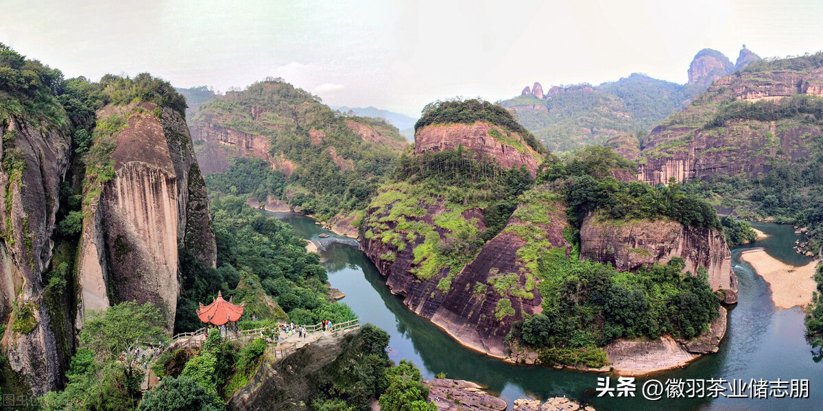 中国最好三大红茶品牌排名,中国三大红茶是哪三种红茶