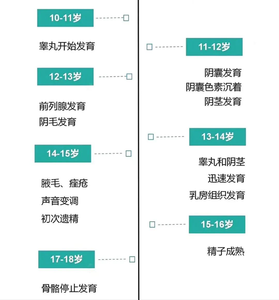 如何抓住青春期这个关键长高阶段,青春期长高明显真实有效方法
