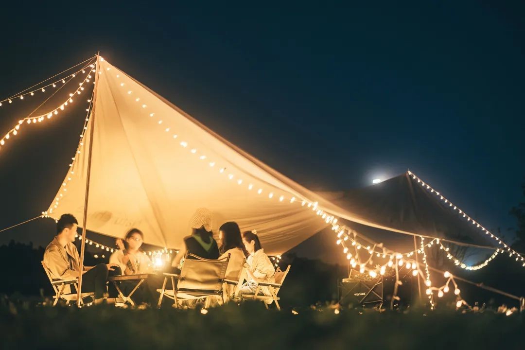 空港花田怎么免费开放,空港花田最新信息