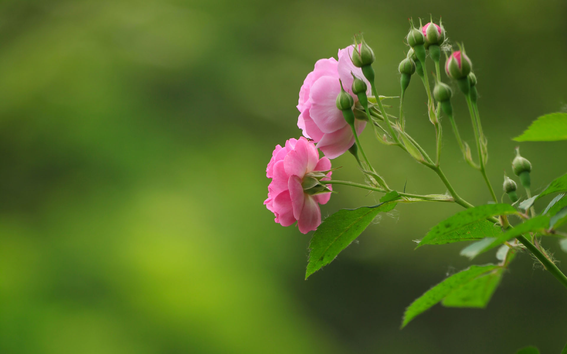 无论和谁相处请保持适度冷漠,无论和谁相处请记住这110个忠告