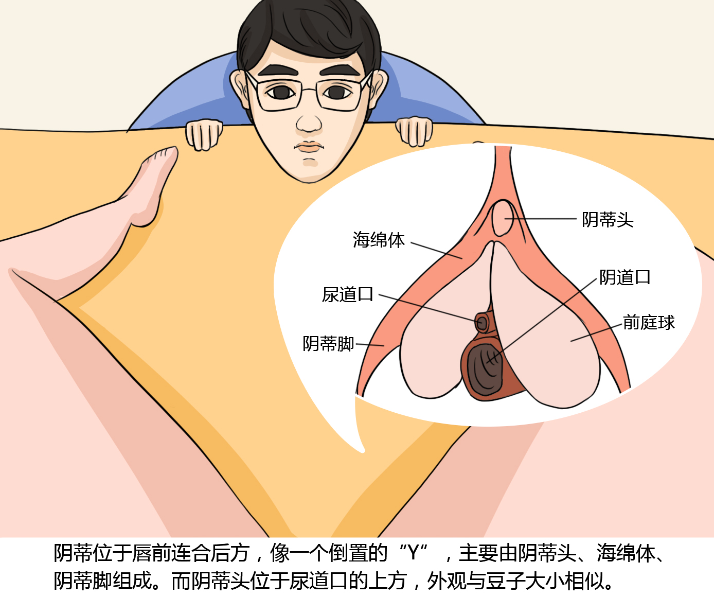 姐妹，你了解这个不起眼的“小豆豆”吗？关于阴蒂的那些秘密