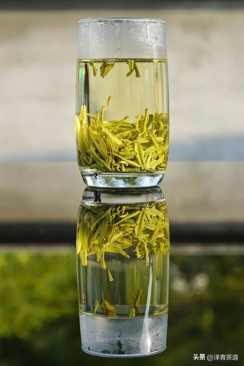 最新十大名茶排行,2022名茶十大排行榜