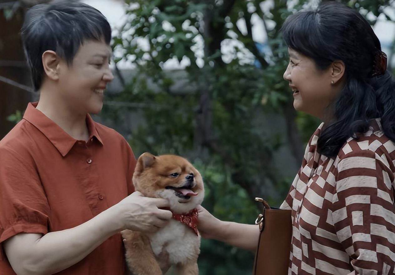 县委大院各演员的演技谁更出彩,县委大院各演员演技谁更出彩