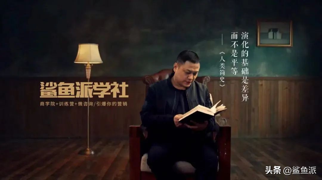 鲨鱼哥聊创业,鲨鱼哥的深度逻辑