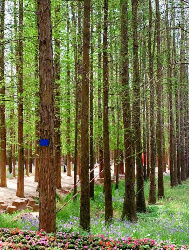 日照旅游攻略‖两天一夜海边度假