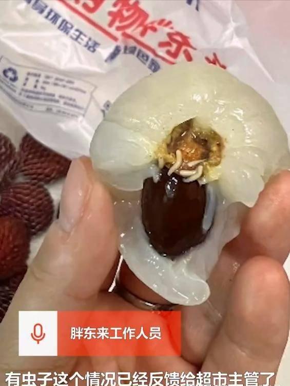 荔枝里面的虫子吃了对人体有害吗,现在胖东来荔枝还有没有虫子