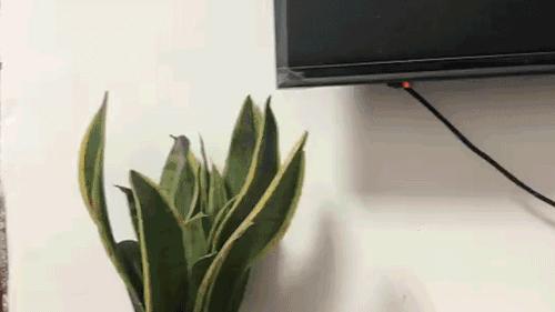 酒店的摄像头一般都在哪里,酒店里最难找到的摄像头在哪里