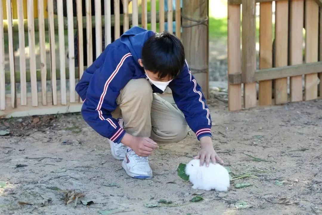从化天人山水二日游,从化天人山水一日游攻略