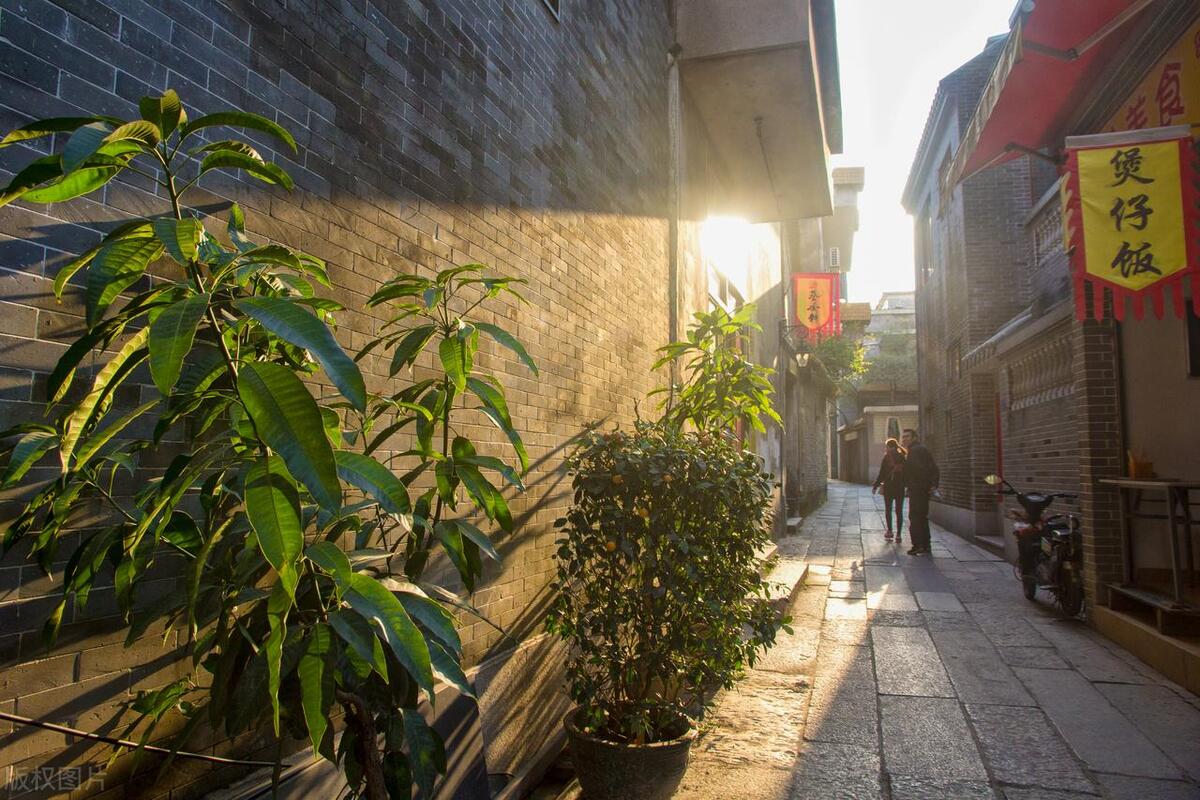 广州番禺1天*行游**程分享，打卡宝墨园+沙湾古镇