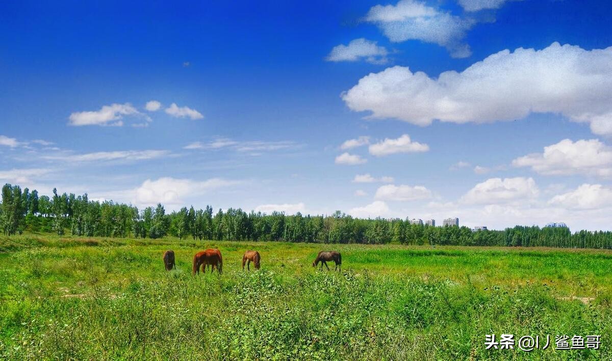 内蒙古包头市最美景点,包头市区旅游攻略必玩的景点