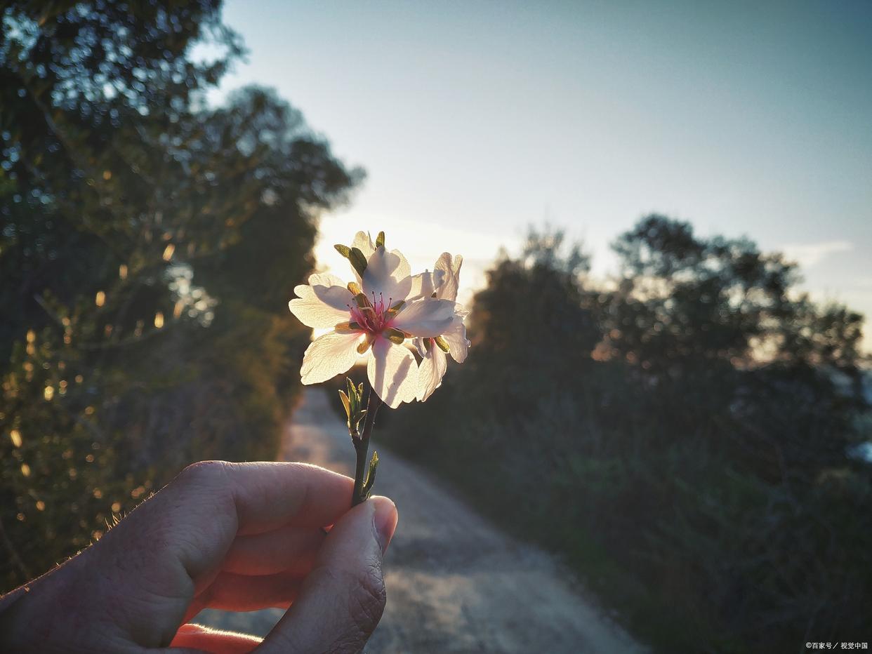 这个月开不了发票是什么原因,开具失败的发票怎么处理