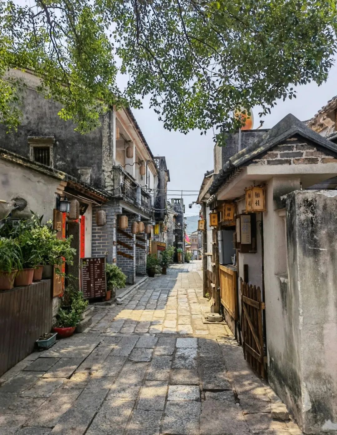 《旭光骑行深圳》第19站——大鹏新区大鹏街道