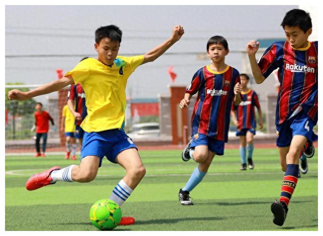 最坑人的培训班,目前培训学校哪些课程是坑人的