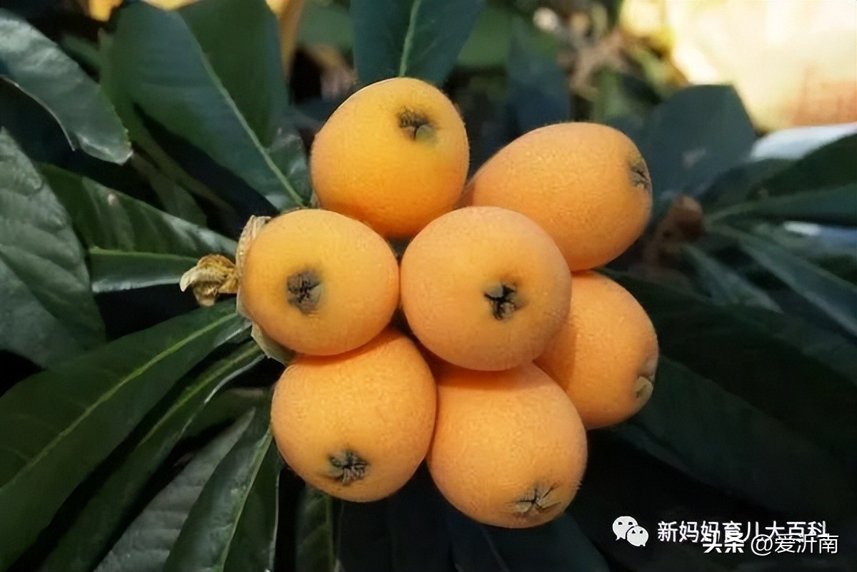 这四种水果孕妈要避开,这5种水果孕妇尽量别吃