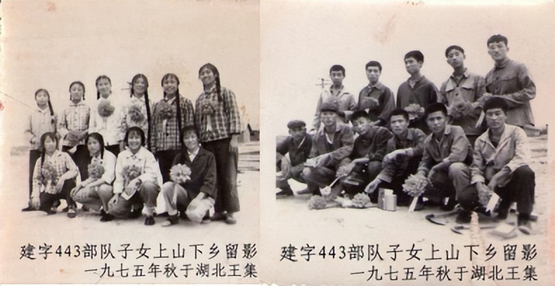 铁 路 情 缘 作者：铁二代 卢州