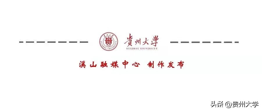 贵大这个学院,学生们的升学故事真精彩!