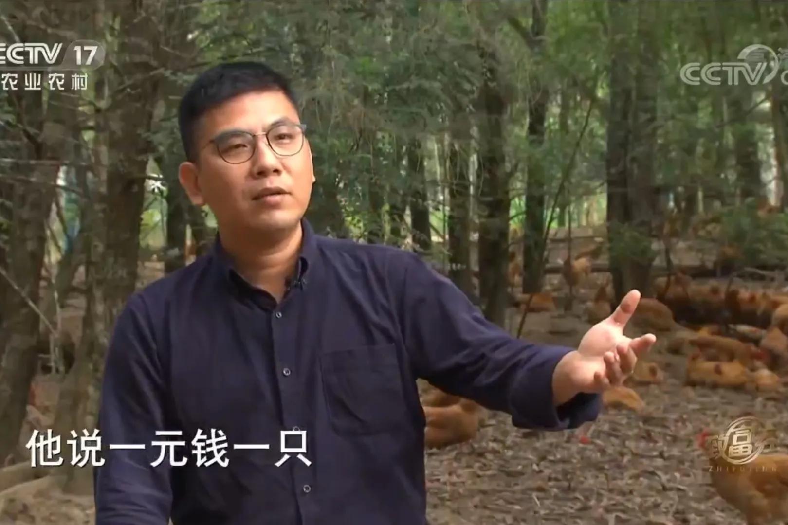 男子承包600多亩玉米血本无归,33岁男子承包900亩荒山