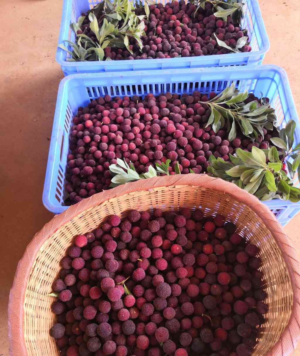 我的知乎首答，献给我大云南