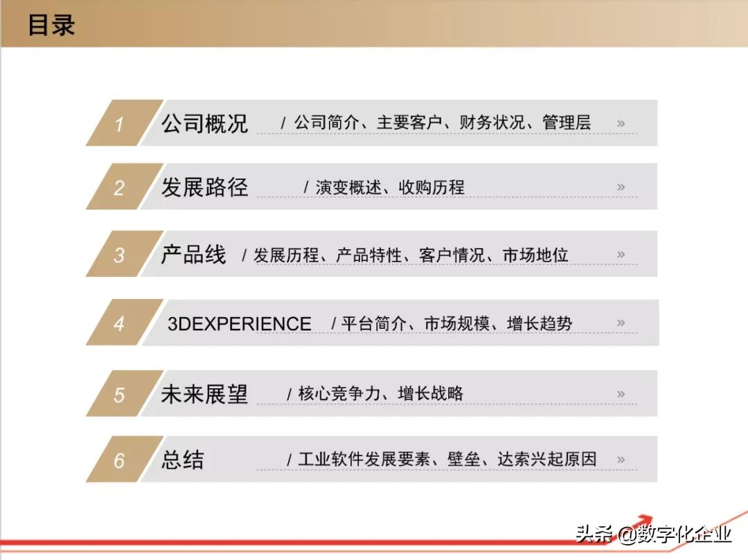 dassault杈剧储,100椤祊pt娣卞害瑙ｆ瀽