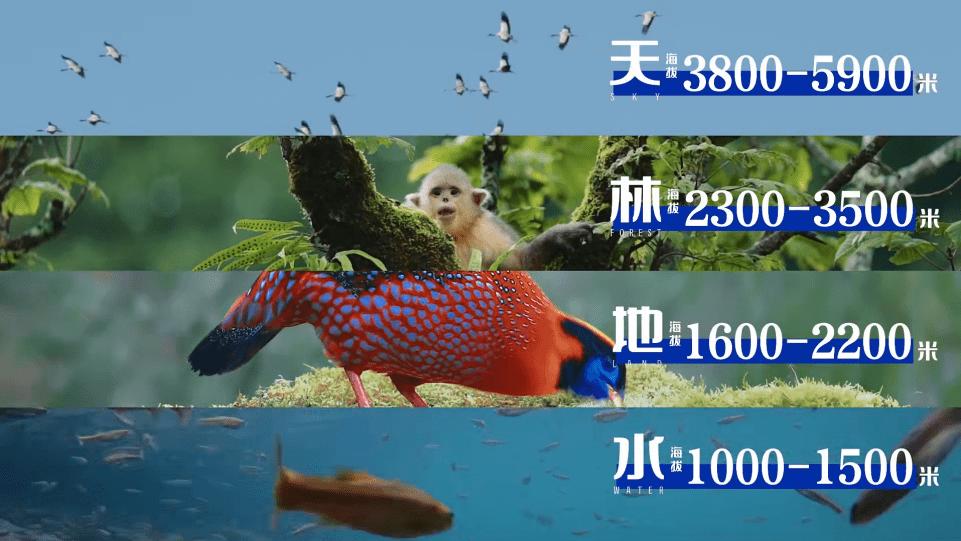 公益营销是一把双刃剑,3种方式做出一场好的公益营销