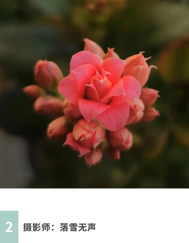 摄影图片二次构图,一张照片二次构图就会眼前一亮