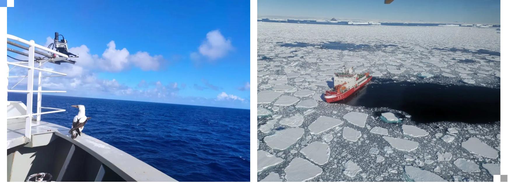 厦大学生前往南极科考,厦大地球与海洋学院和海洋三所
