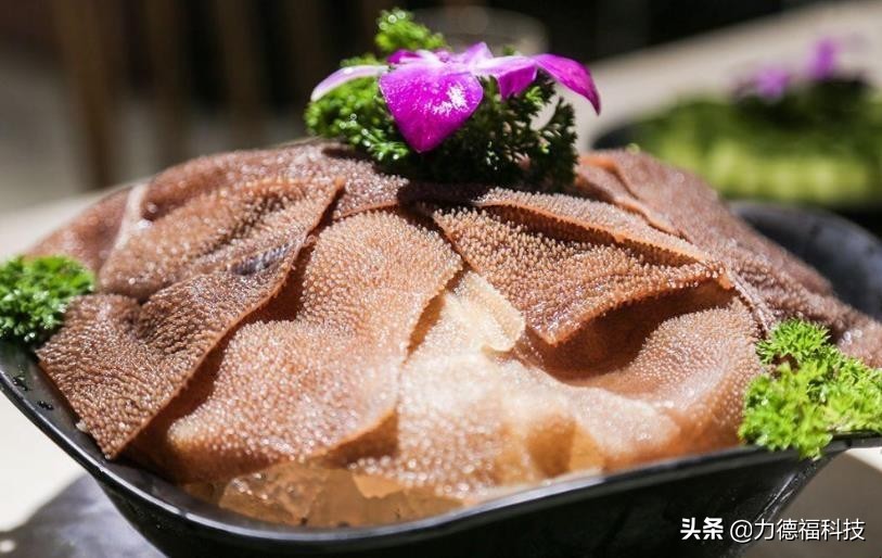 毛肚液氮速冻技术,鲜毛肚洗了怎么保鲜