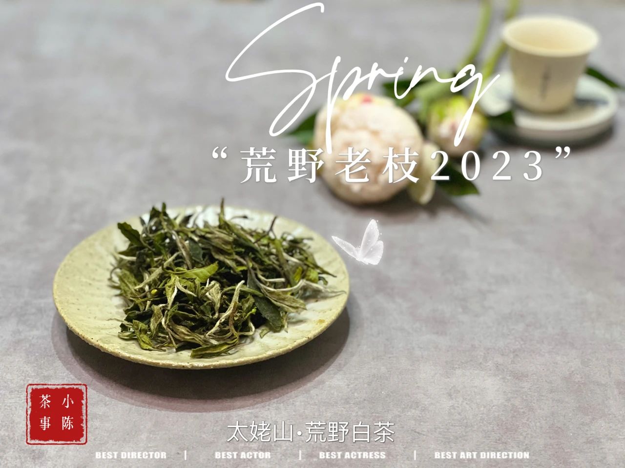 绿茶乌龙茶普洱茶怎么喝才适合,白茶红茶绿茶哪个更好喝一点