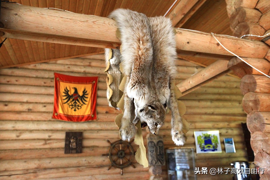 俄罗斯一月追极光攻略,俄罗斯追极光的地方