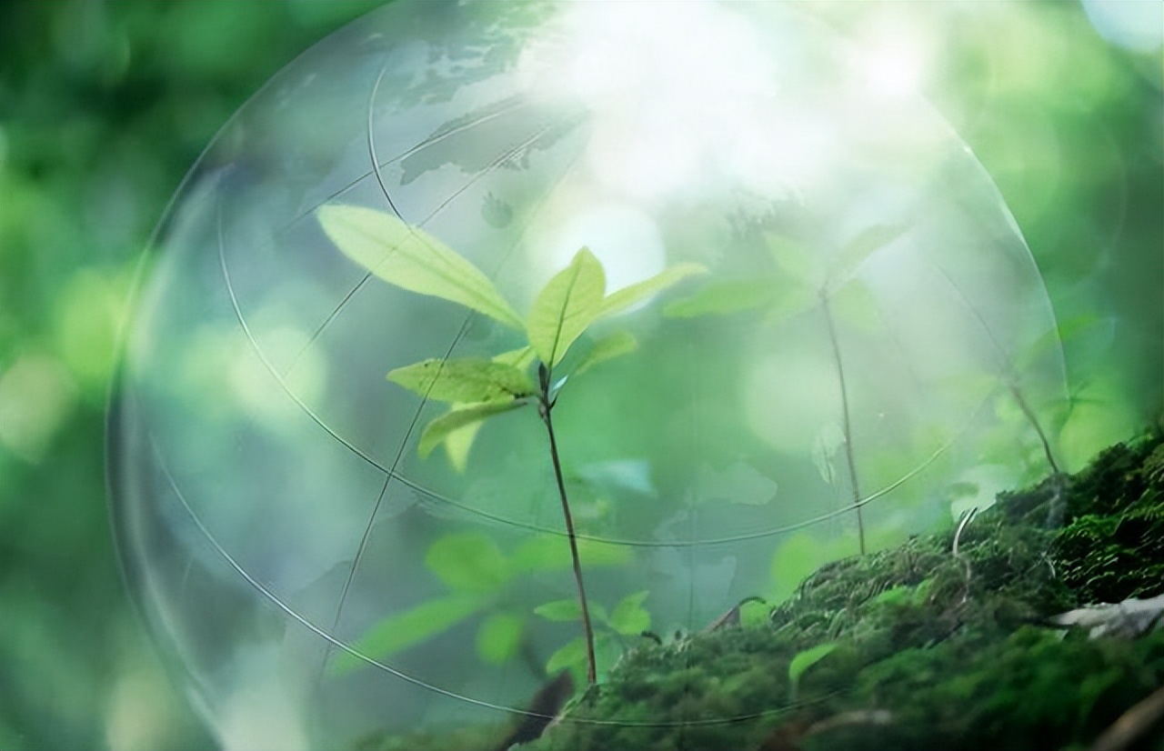 张朝阳董宇辉全程回放,董宇辉张朝阳最后10分钟总结