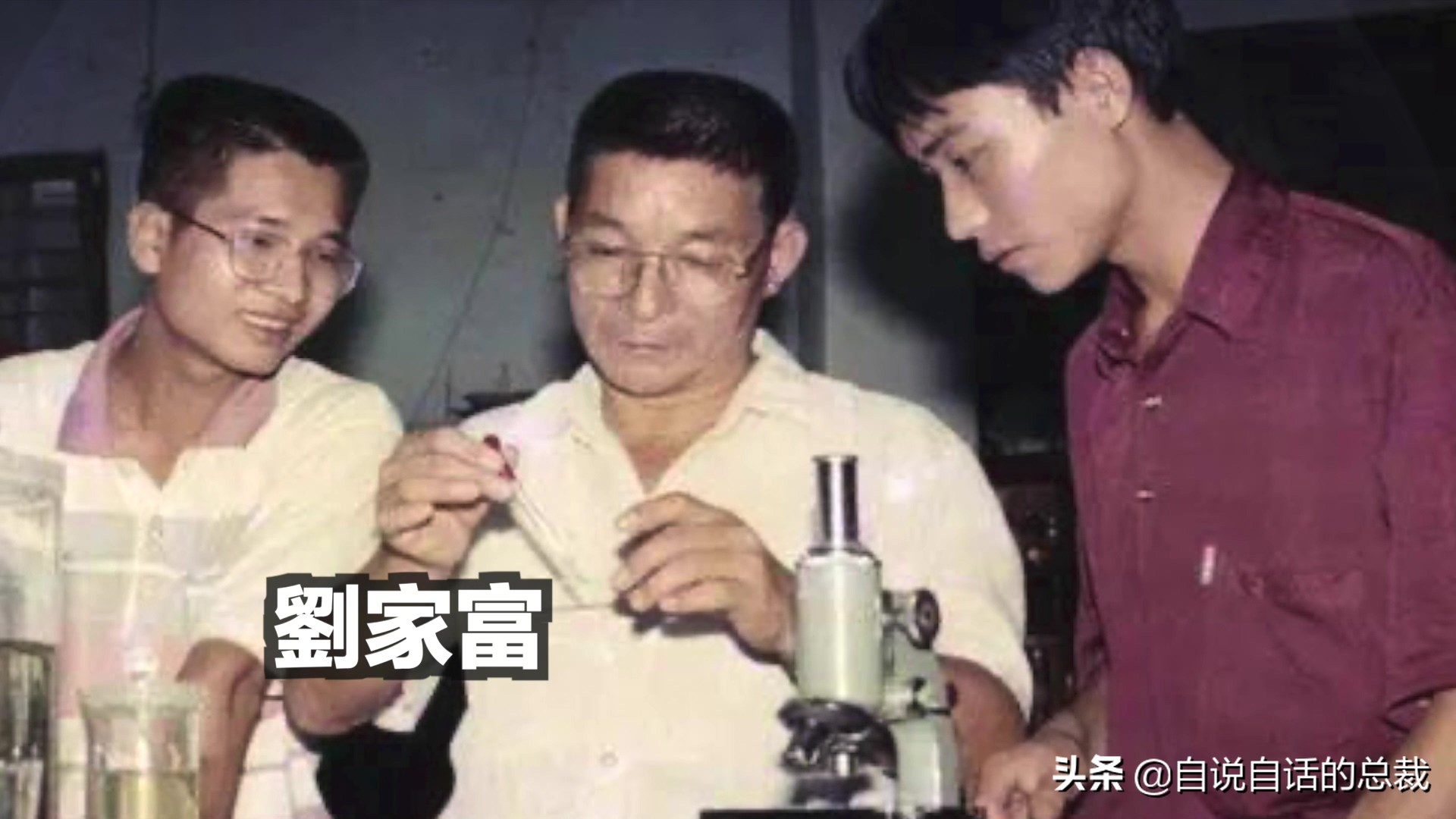 目前野生大黄鱼为什么这么贵,大黄鱼最贵价格多少钱一斤