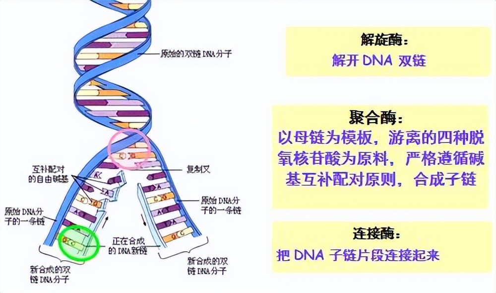 初中道德与法治大单元复习,初中道德与法治大单元教学