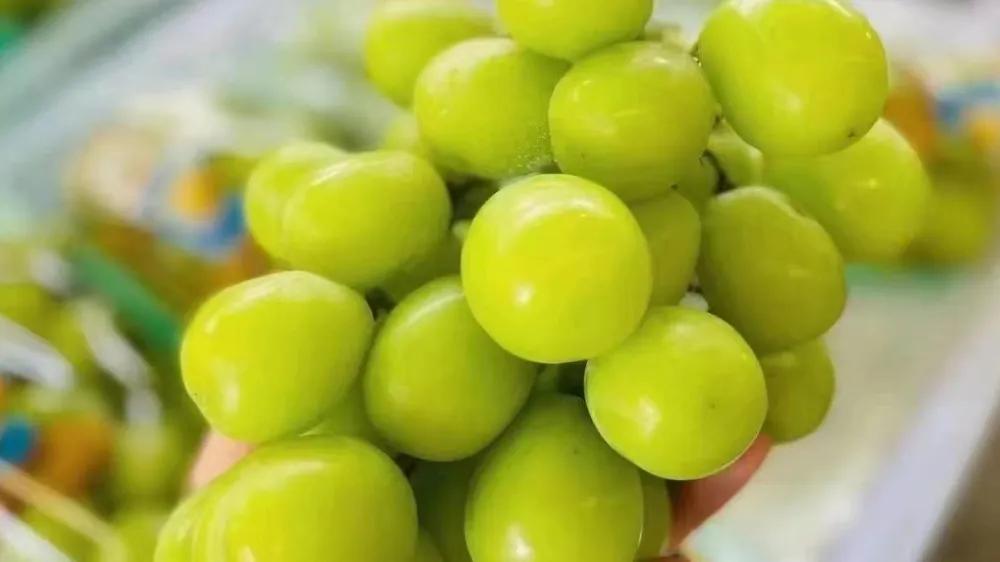 水果店成本分析方法,大家的水果店每天都做数据分析